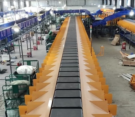 Hệ thống Crossbelt sorter 4.jpg